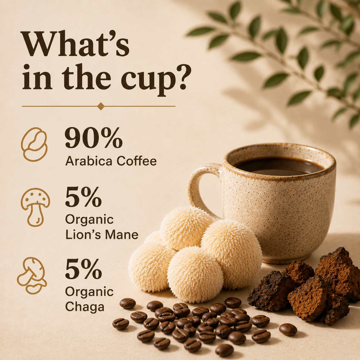 LOAM Clarity Ground Mushroom Coffee